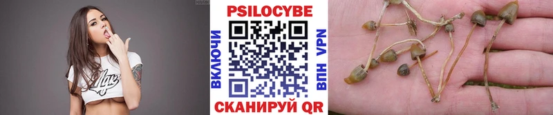 Псилоцибиновые грибы мицелий  Вилючинск 